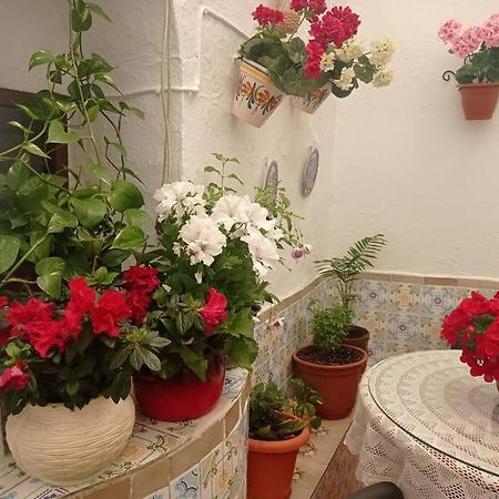 Villa Casa Tipica De Pueblo Andaluz à Villanueva de San Juan Extérieur photo