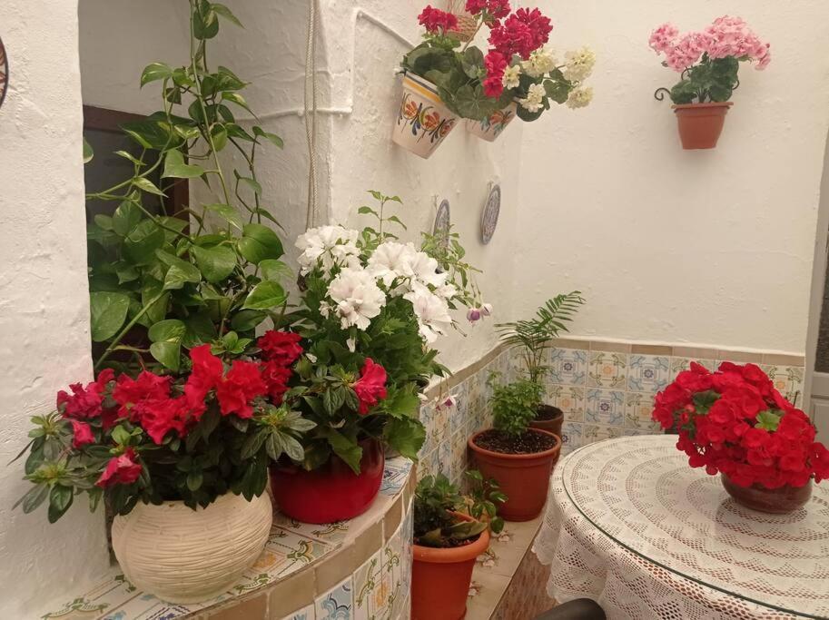Villa Casa Tipica De Pueblo Andaluz à Villanueva de San Juan Extérieur photo